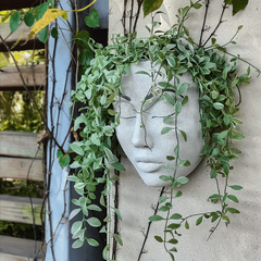 Resin Wall Mounted Face Planter Pot for Indoor & Outdoor Plants Decor