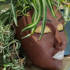 Resin Wall Mounted Face Planter Pot for Indoor & Outdoor Plants Decor