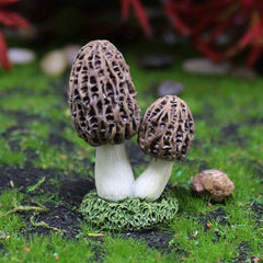 Mushroom Resin Statue Micro Landscape Succulent Bonsai DIY Accessorie