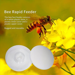 Bee Feeding Device Round Top Water Feeder Beehive