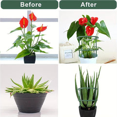 Plant Support Cage Garden Ring Stake For Tomato Climbing P
