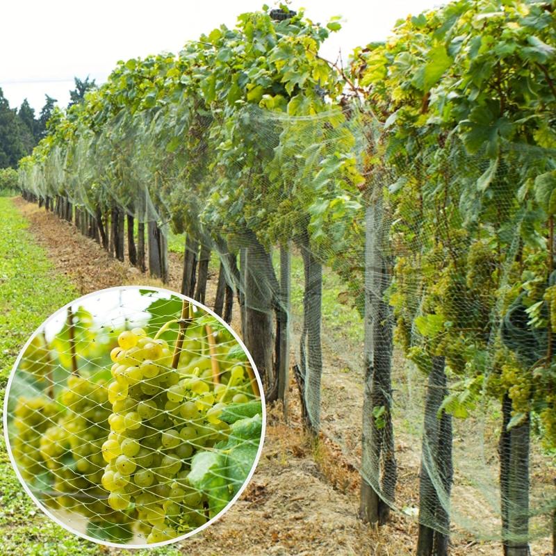 Bird Protection Net 4x5m Plant Climbing Trellis Netting