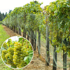 Bird Protection Net 4x5m Plant Climbing Trellis Netting