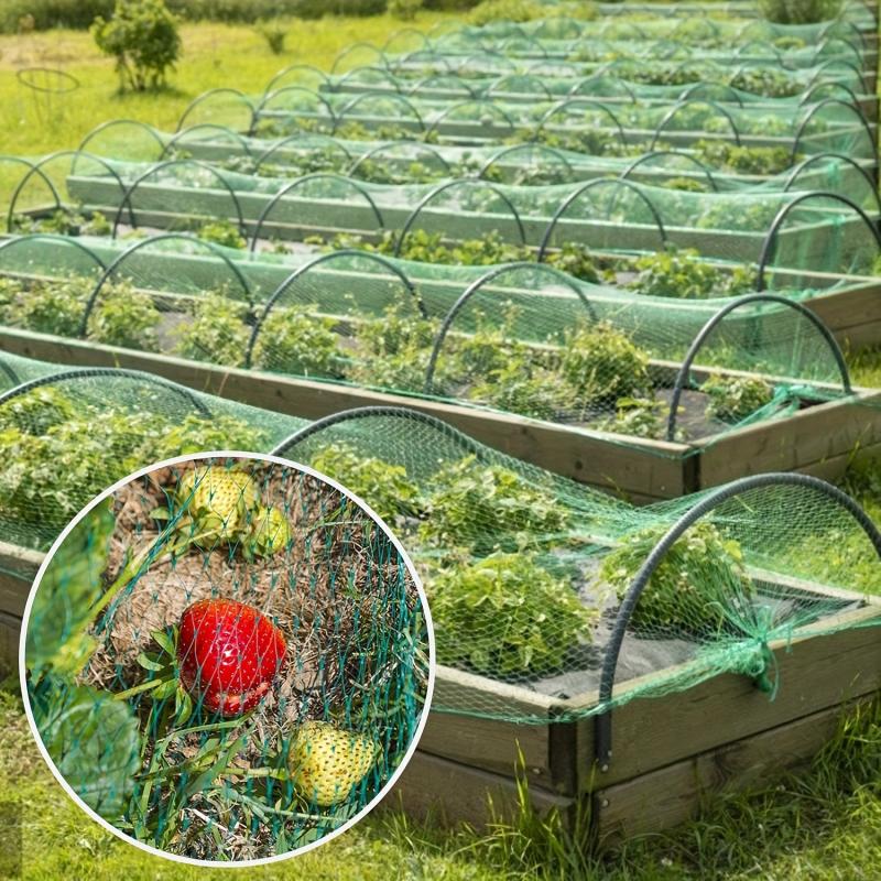Bird Protection Net 4x5m Plant Climbing Trellis Netting