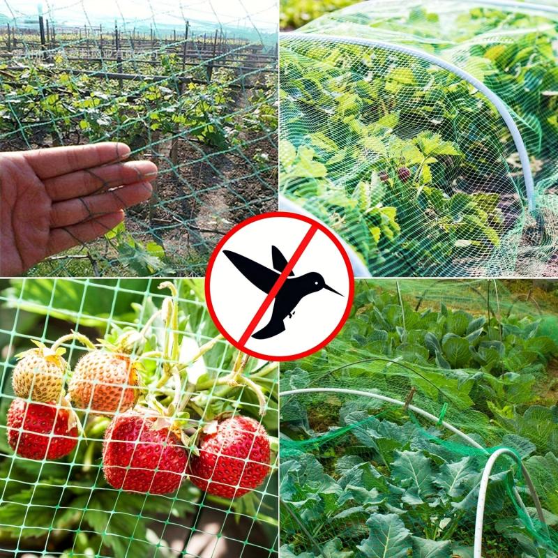 Bird Protection Net 4x5m Plant Climbing Trellis Netting