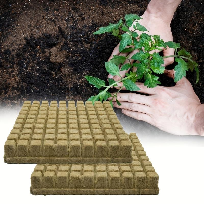 200 Mini Rock Wool Cubes 25x25x25mm for Plant Propagation & Soilless Culture