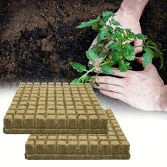 200 Mini Rock Wool Cubes 25x25x25mm for Plant Propagation & Soilless Culture