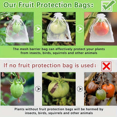 Fruit Protection Bags 10/20/30/50pcs Keep Garden Safe From Pests & Birds