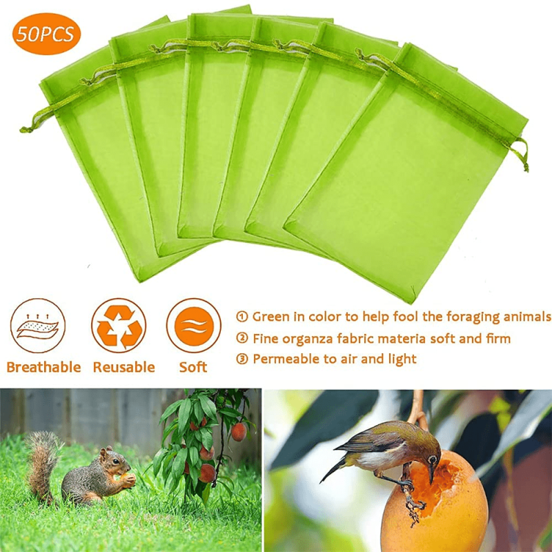 Fruit Protection Bags 10/20/30/50pcs Keep Garden Safe From Pests & Birds
