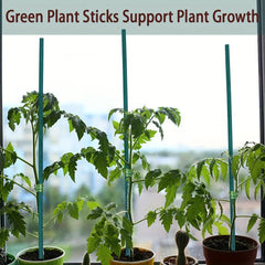 10pcs Plant Sticks Green Plant Stakes for Indoor and Outdoor Plants