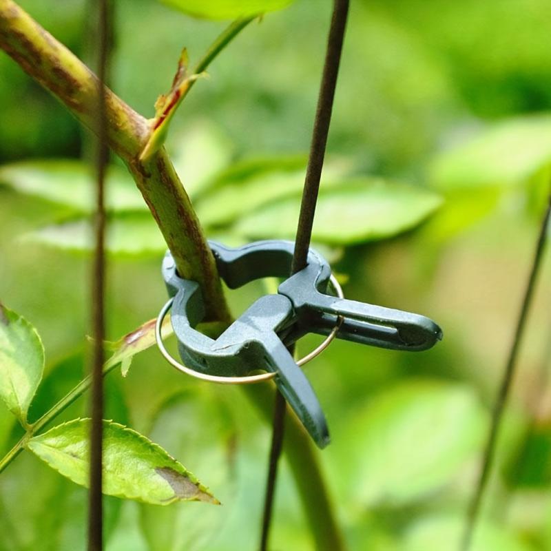 20pcs Plant Climbing Wall Fixer Leaf Type Vine Buckle Hook Rattan Clamp Fixator