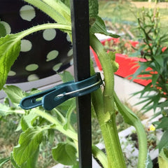 20pcs Plant Climbing Wall Fixer Leaf Type Vine Buckle Hook Rattan Clamp Fixator