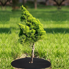 20pcs Non Woven Tree Protection Pads Weed Control Rings
