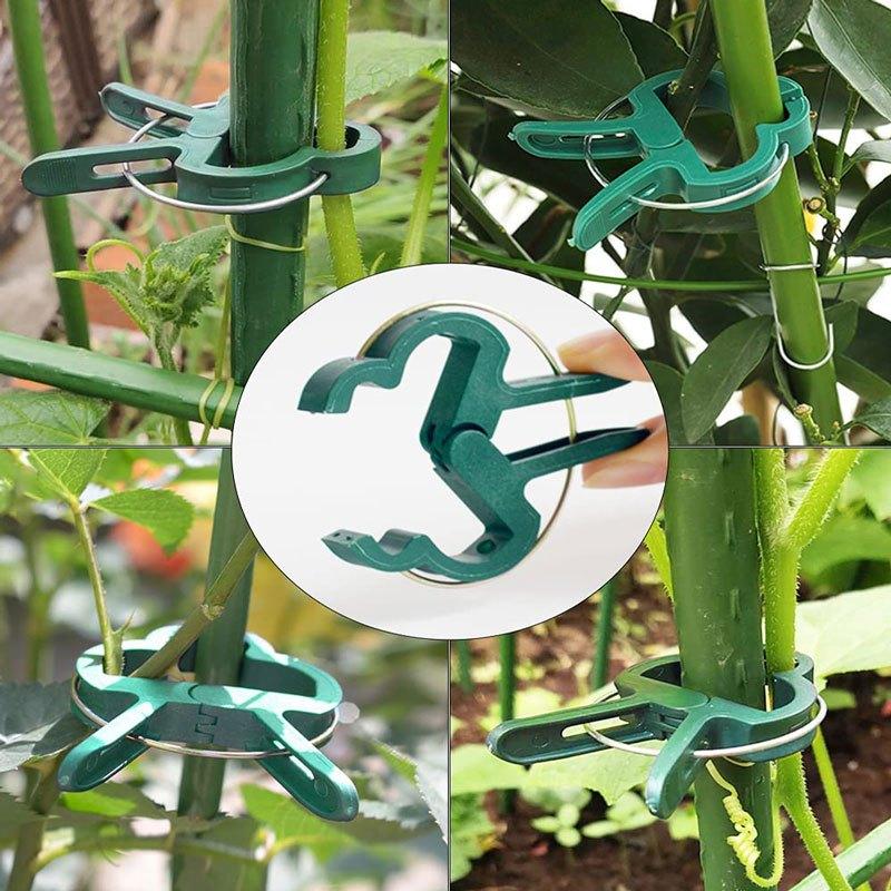 20pcs Reusable Plant Fixed Clips for Supporting Vines & Flowers