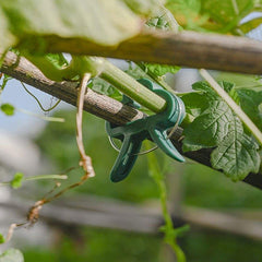 20pcs Reusable Plant Fixed Clips for Supporting Vines & Flowers