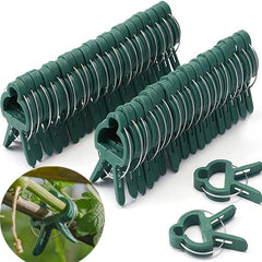 20pcs Reusable Plant Fixed Clips for Supporting Vines & Flowers