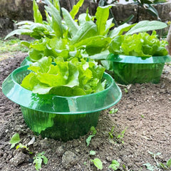 10pcs Plant Protection Cover - Keep Your Plants Safe & Healthy