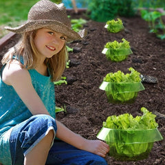 10pcs Plant Protection Cover - Keep Your Plants Safe & Healthy
