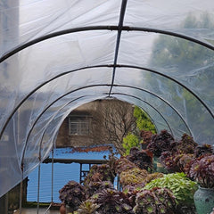 Clear Waterproof Tarpaulin Transparent Tarp Cover PE Film with Grommets