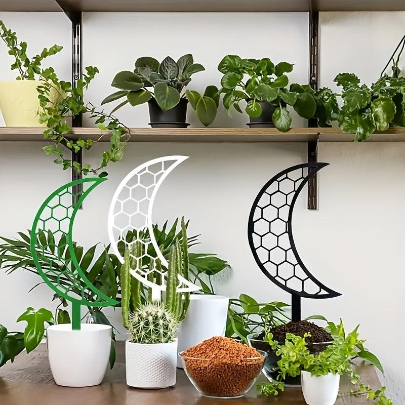 Moon Climbing Vine Bracket Flower Stand Plant Balcony Geometric Support