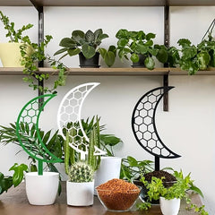 Moon Climbing Vine Bracket Flower Stand Plant Balcony Geometric Support