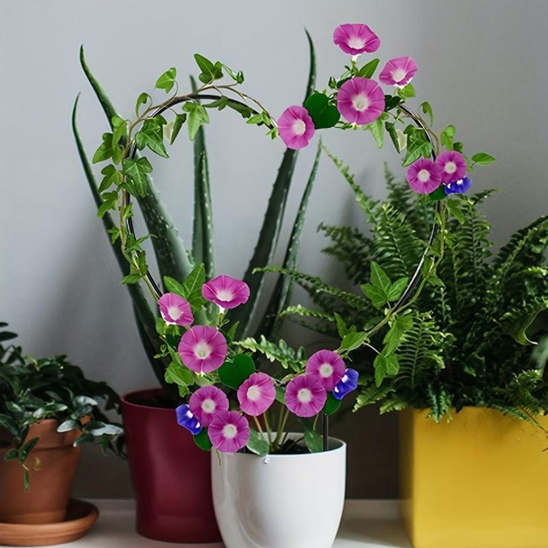 Heart Shaped Plant Support Stake for Garden Balcony - Flower Planting
