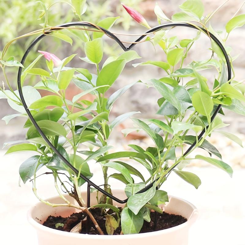 Heart Shaped Plant Support Stake for Garden Balcony - Flower Planting