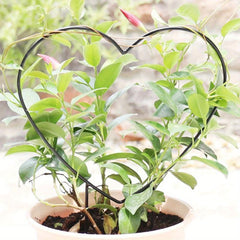 Heart Shaped Plant Support Stake for Garden Balcony - Flower Planting