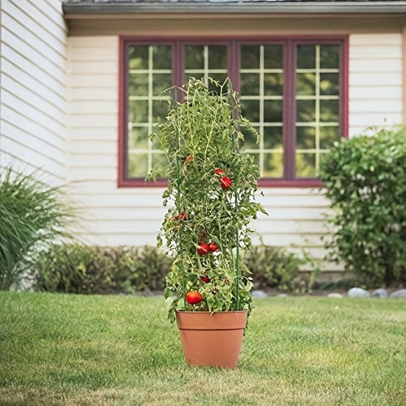 Plant Support Stakes for Vegetables Flowers Fruit Rose Vine Climbing Plants