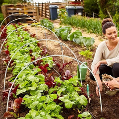 25pcs Greenhouse Hoops 42 67 76 Wide Grow Tunnel Rust Fiberglass Garden Support