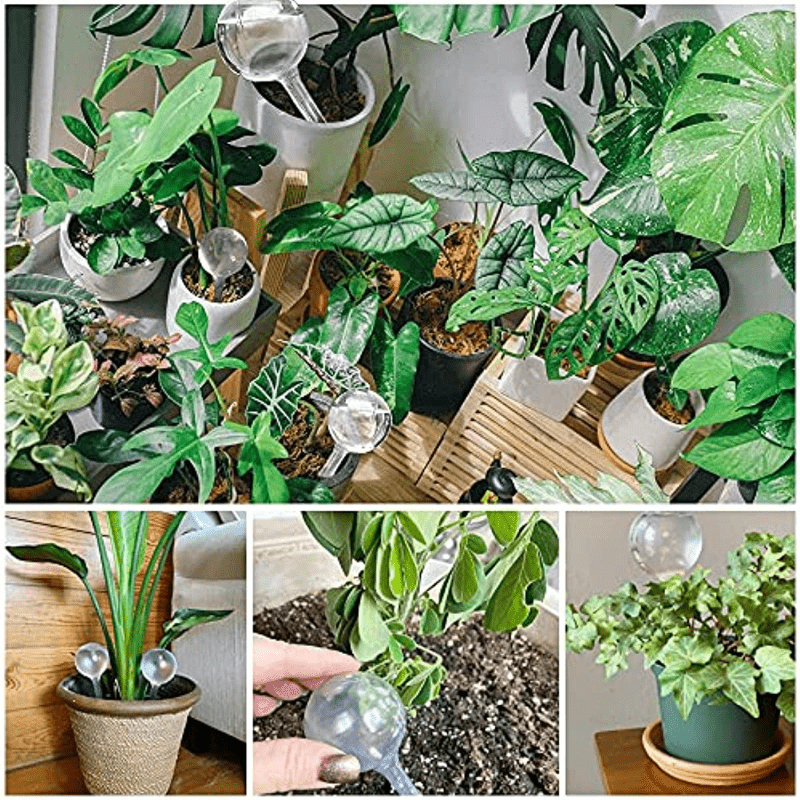 10pcs Clear Plant Watering Globes Self Watering Bulbs Flower Automatic Watering