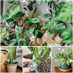 10pcs Clear Plant Watering Globes Self Watering Bulbs Flower Automatic Watering