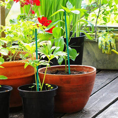 10pcs Bamboo Garden Stakes Plant Support Stick Orchid Rod Plant Sticks