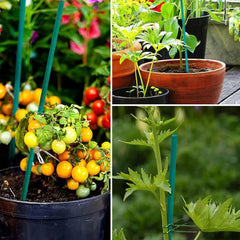 10pcs Bamboo Garden Stakes Plant Support Stick Orchid Rod Plant Sticks