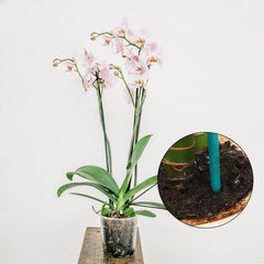 10pcs Bamboo Garden Stakes Plant Support Stick Orchid Rod Plant Sticks