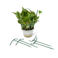 4pcs Plant Support Cage Stake Plastic for Flower Tomato