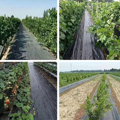 1pc Ground Cover Fabric Weed Barrier Durable Landscape Fabric For Gardening