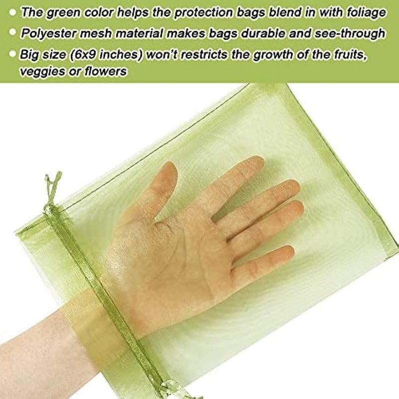 100pcs Fruit Protection Bag Green Mesh Bag Rope Net Fruit Protector Mango Tomato