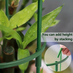 Adjustable Plant Support Stakes for Tomato Monstera Peony Hydrangea