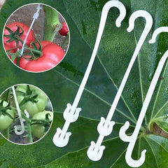 10pcs Plastic Fruit Support Hooks for Tomatoes Vegetables in Pots