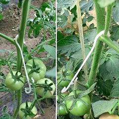 10pcs Plastic Fruit Support Hooks for Tomatoes Vegetables in Pots