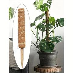 1pc Plant Support Strawberry Planting Rack Flower Pillar Gardening Bracket