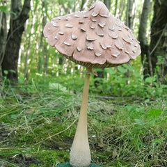 Resin Mushroom Garden Decoration Funny Face Outdoor Lawn Statue