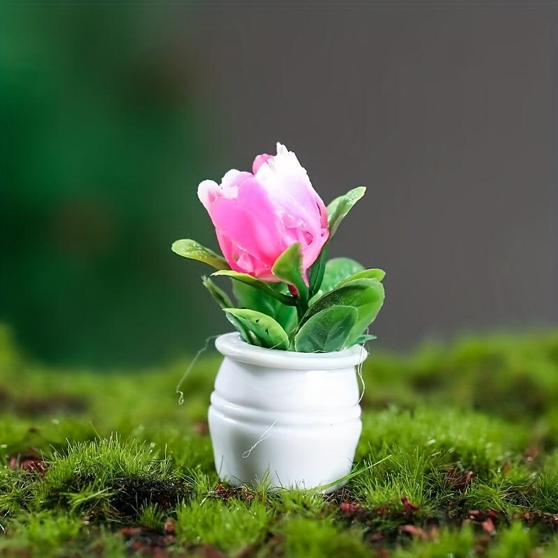 5pcs Mini Succulent Plant Toy Fairy Garden Decor