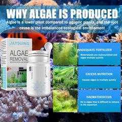 Pool Algae Removal Tablets Swimming Pool Supplies