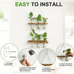 6 Bulb Vase Wall Hanging Propagation Station