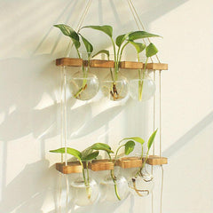 6 Bulb Vase Wall Hanging Propagation Station