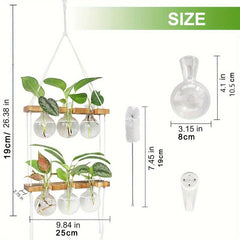 6 Bulb Vase Wall Hanging Propagation Station