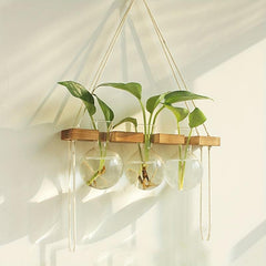 6 Bulb Vase Wall Hanging Propagation Station
