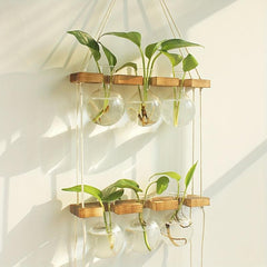 6 Bulb Vase Wall Hanging Propagation Station